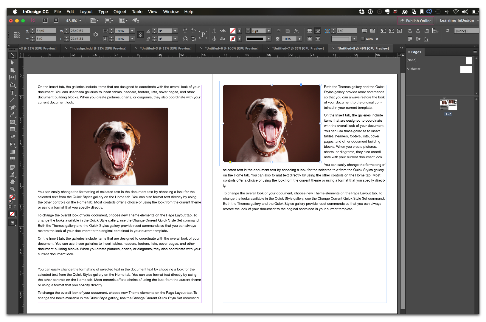 InDesign CCss_039.png